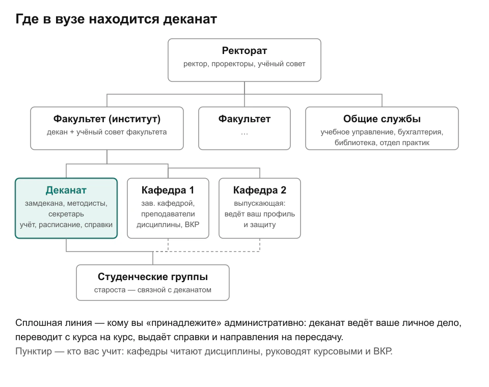 Схема структуры вуза: ректорат, под ним факультеты и общие службы; внутри факультета выделен деканат рядом с кафедрами, от деканата сплошная линия к студенческим группам, от кафедр — пунктирные