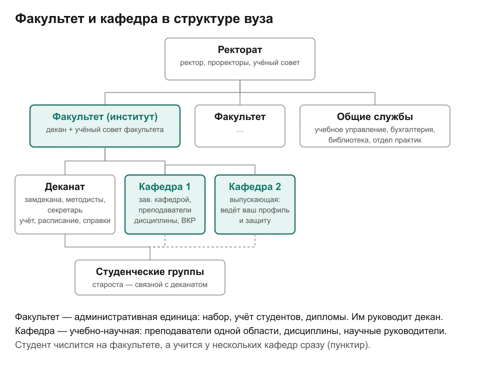 Схема структуры вуза: ректорат, факультеты и общие службы; выделены факультет и входящие в него кафедры, рядом деканат; пунктирные линии от кафедр к студенческим группам показывают, что группу учат несколько кафедр