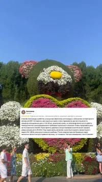 Отзыв студента 14
